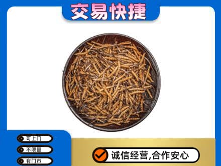 荷泽回收散虫草